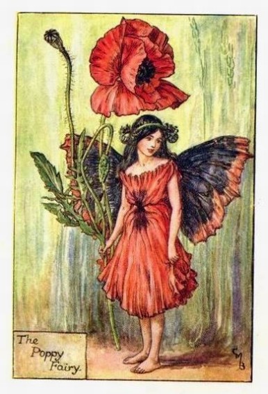 Poppy-Flower-Fairy